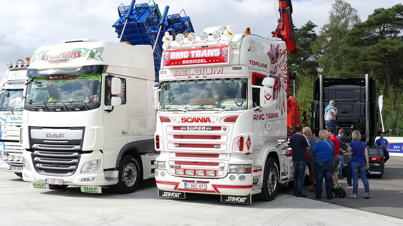 Scania Изображение me-myself-and-I с сайта Pixabay